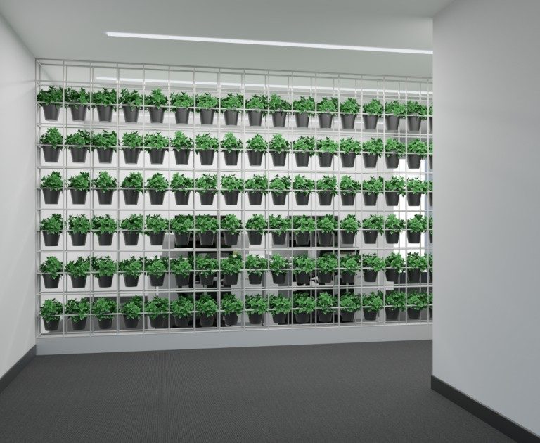 Bluewaters Office Expansion 1st floor_Scene 1.effectsResult