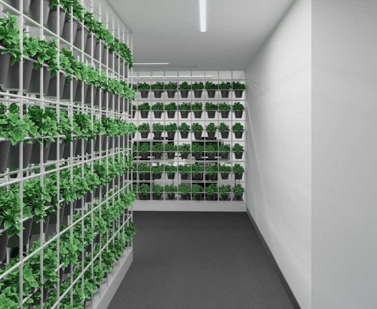 Bluewaters Office Expansion 1st floor_Scene 2.effectsResult