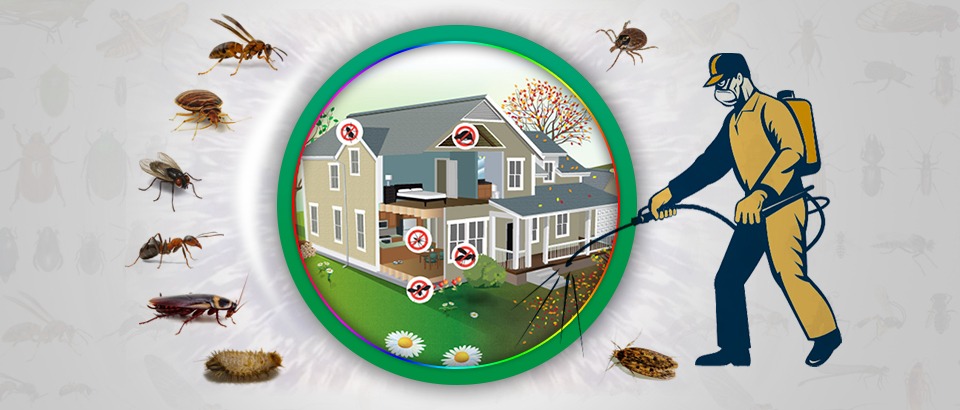 pest-control-AwvvkoErDntBEJMW